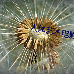 人體藝術電影網站