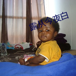 露从今夜白