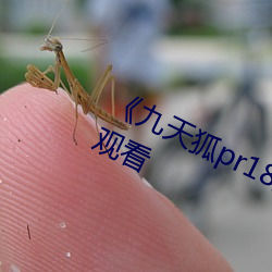《九(jiǔ)天(tiān)狐(hú)pr18正能(néng)量视频(pín)》HD在线观看