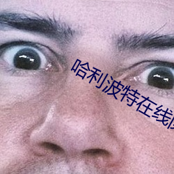 哈利波特在线(xiàn)阅读(dú)