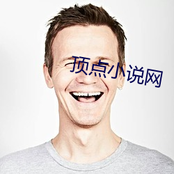 頂點小說網