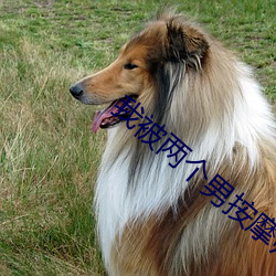 我被两个男按(àn)摩师(shī)伦了(le)