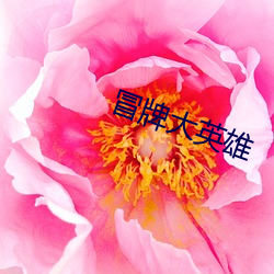 冒牌(牌)大英(英)雄
