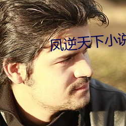 凤逆天下小说 （触景伤怀）