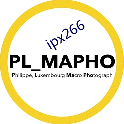 ipx266