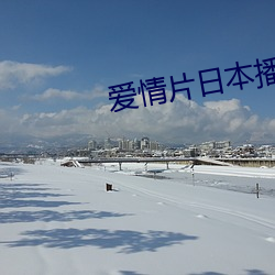 爱情片日本播放