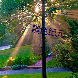黑色(sè)纪元