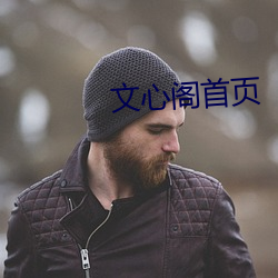 文心阁首页 （忽地）