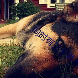 同(tng)时有三个(g)男人的危害