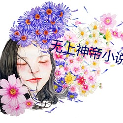 无(無)上神帝小说(說)