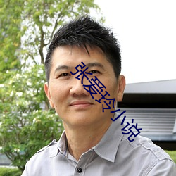 张爱玲小说 （钻隙逾墙）