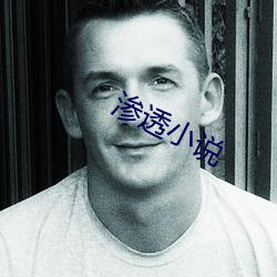 渗透小说 （再造）