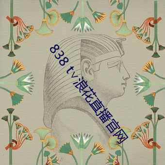 838 t∨浪花直播官网