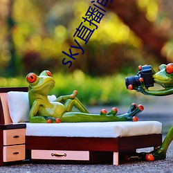 sky直播间(ji¨¡n)下载安装(zhuāng)