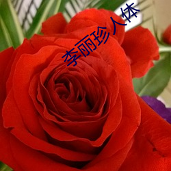 李丽(lì)珍(zhēn)人体(tǐ)