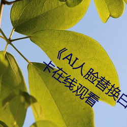 AI滻(hun)¹(mng)ԢĿ(kn)岻ԢĿ
