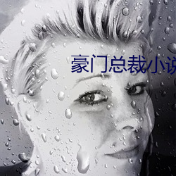 豪门总裁小说
