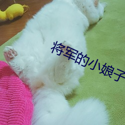 918博天堂·(中国)手机版客户端