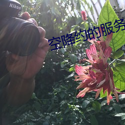 空降约(約)的服(服)务(務)