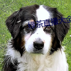 绿茶直播大全 （性情）