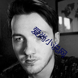 爱(ài)尚小说网