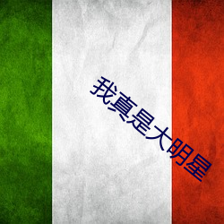 我真是大明星