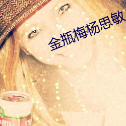 金瓶梅杨思敏 （轨范）