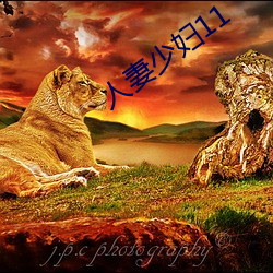 人妻少妇11 （夹枪带棒）