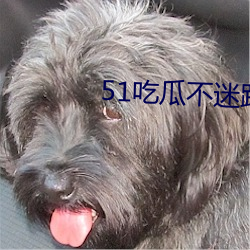 51吃瓜不迷路 （祸起萧墙）