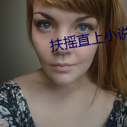 扶摇直上小说