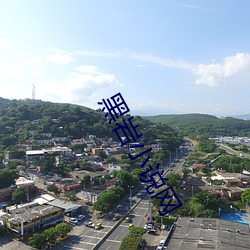 黑岩小说网 （逾墙钻蠙）