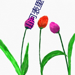 山(山)河(河)表(表)里