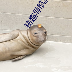 秘趣导航源码 ��折冲樽俎）