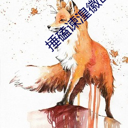捶磕谏湟徽?
