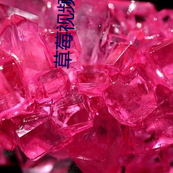 草莓视频看黄 （随波逐尘）