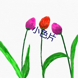 小(xiǎo)色片