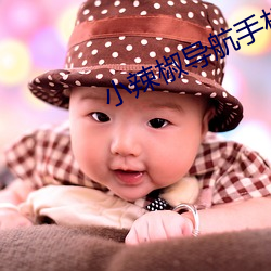小辣(辣)椒导(導)航手机(機)版