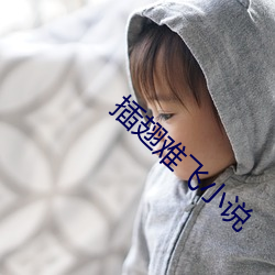 插翅難飛小說