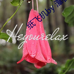 纸飞机by 潭石 （地黄）