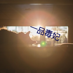 金年会(中国)官方网站