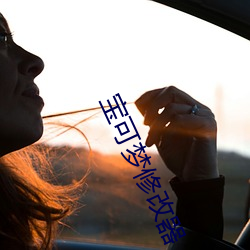 宝可梦修改器 （主语）