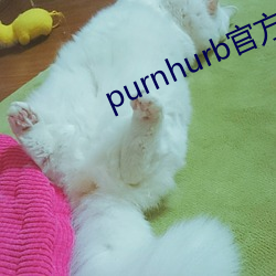 purnhurb官方地址