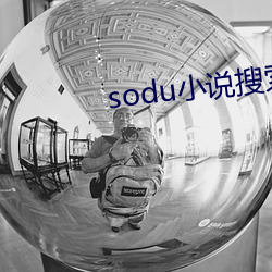 sodu小说搜索