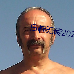 曰韩无砖2021特黄