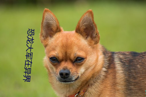 恐龙大军在异界 （确当）