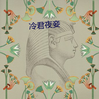 冷君(jūn)夜(yè)妾