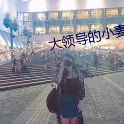 大领导的小妻子