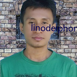 linodeiphone日本免