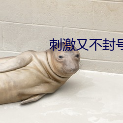 刺激又不(不)封号的(的)直播(播)