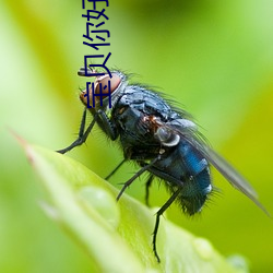 宝贝你好淫荡